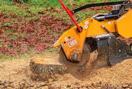 Best Tree Mulching  in Smyrna, GA